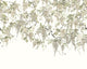 Trailing Wisteria Linen Icon Murals Mural by Ohpopsi