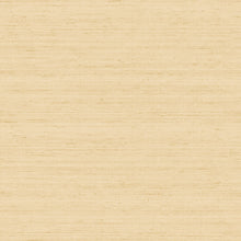 IS33382 Shantung Tonale Italian Silks and Damasks Wallpaper By Galerie