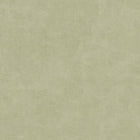 IT32475 Muro Congo Green Italian Textures 4 Wallpaper by Galerie