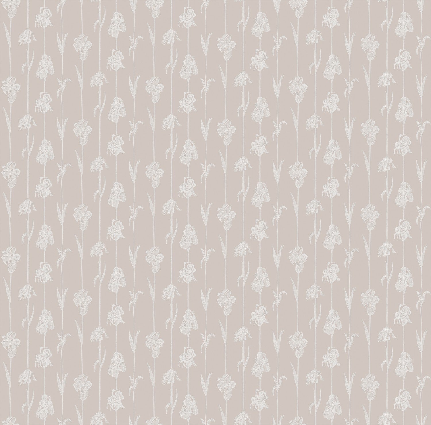 IT4405-5 Corola Rosa Ítera Wallpaper by Tres Tintas