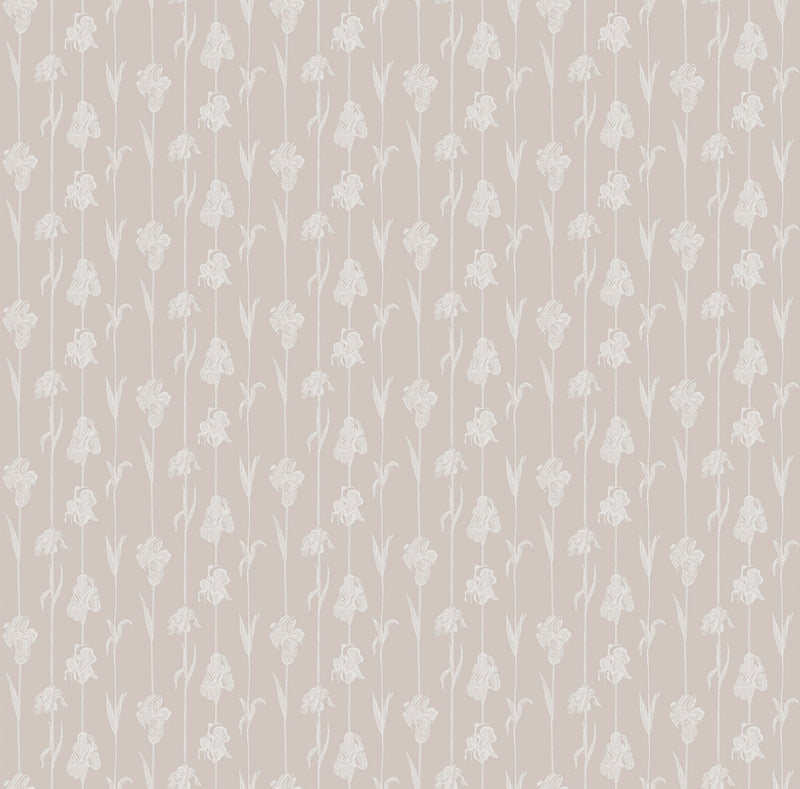 IT4405-5 Corola Rosa Ítera Wallpaper by Tres Tintas