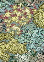 JMW-100401 Broccoli Canopy Wallpaper by Josephine Munsey