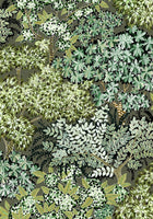 JMW-100411 Broccoli Canopy Wallpaper by Josephine Munsey
