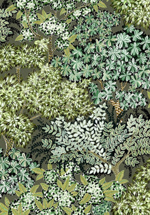 JMW-100411 Broccoli Canopy Wallpaper by Josephine Munsey