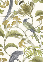 JMW-100631 Living Branches Wallpaper by Josephine Munsey