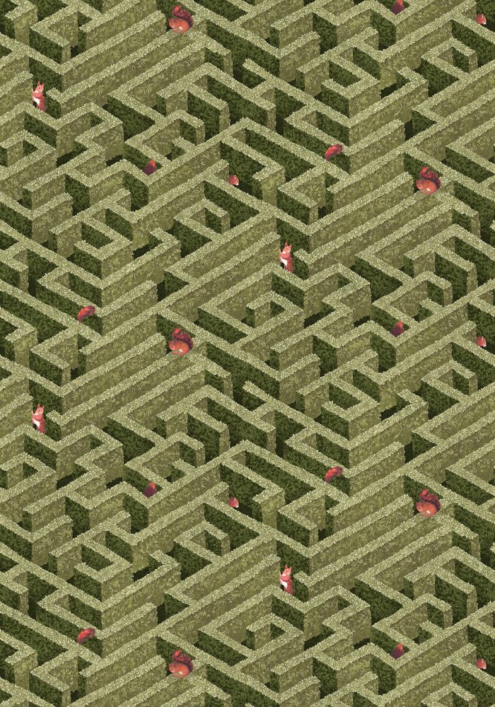JMW-100801 Labyrinth with Squirrel Wallpaper by Josephine Munsey