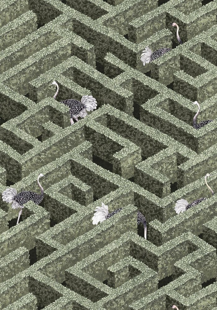 JMW-100101 Labyrinth with Ostrich Wallpaper by Josephine Munsey