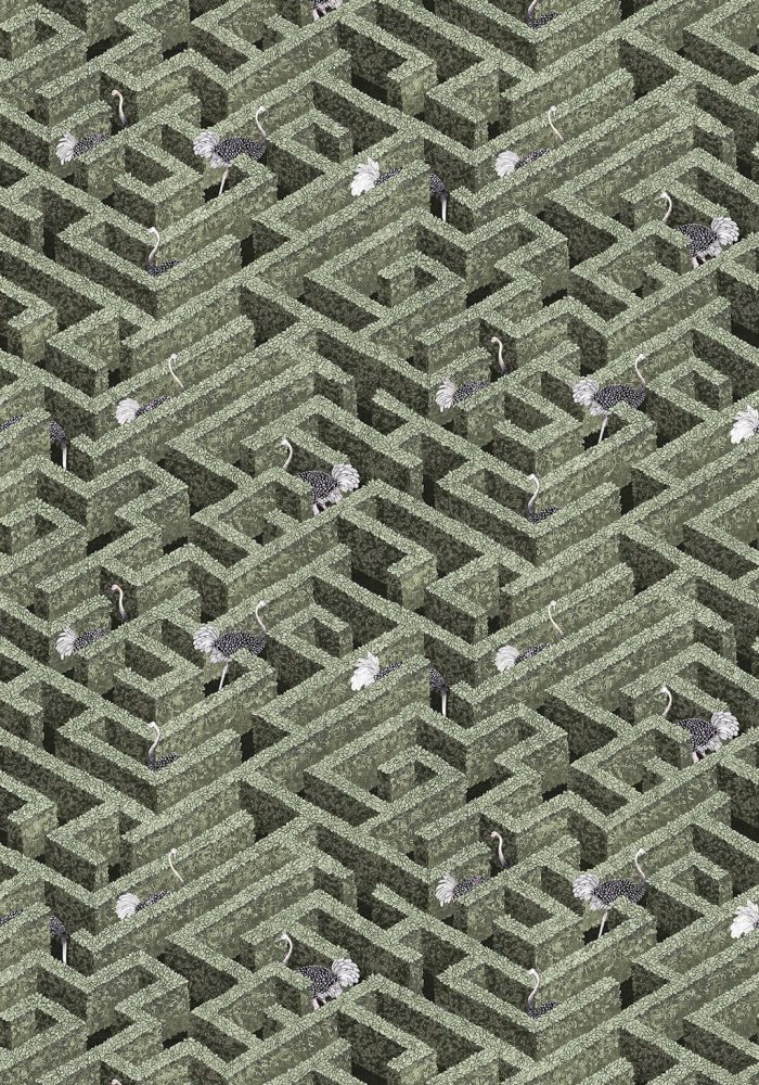 JMW-100101 Labyrinth with Ostrich Wallpaper by Josephine Munsey