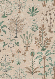 JMW-102301 Cynthia Plaster Pink Wallpaper by Josephine Munsey