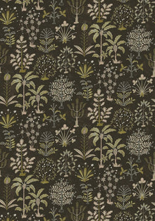 JMW-102331 Cynthia Black and  Olive Wallpaper by Josephine Munsey