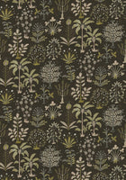 JMW-102331 Cynthia Black and  Olive Wallpaper by Josephine Munsey
