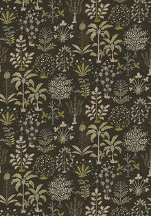 JMW-102331 Cynthia Black and  Olive Wallpaper by Josephine Munsey