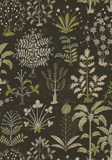 JMW-102331 Cynthia Black and  Olive Wallpaper by Josephine Munsey
