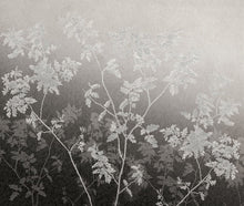 JO1006-3 English Garden Gris Journeys I Mural by Tres Tintas