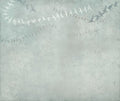 Birds Gris Journeys I Mural by Tres Tintas