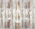 Cock (JO1036-2) Journeys I Mural by Tres Tintas