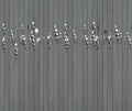 Roses Gris Journeys I Mural by Tres Tintas