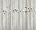 Roses Blanc Journeys I Mural by Tres Tintas