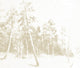 Ink Woods Blanc/azul Journeys I Mural by Tres Tintas