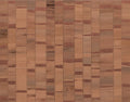 Manila Natural/ Cooper Journeys II Mural by Tres Tintas