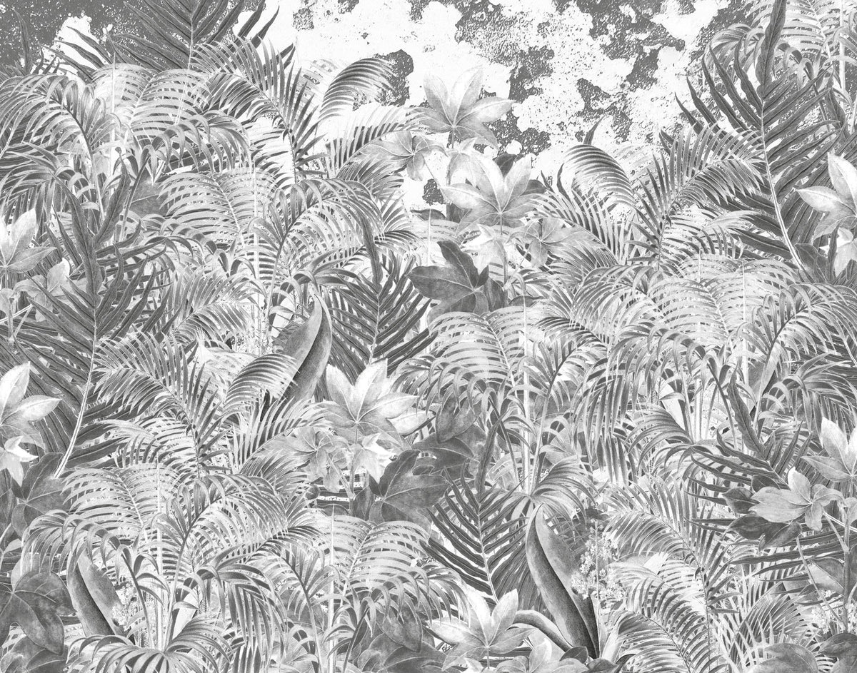 JO2708-3 Amazonia B/W Journeys II Mural by Tres Tintas