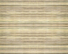 JO2718-1 Bali Natural Journeys II Mural by Tres Tintas