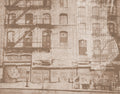 Soho Bronw Journeys II Mural by Tres Tintas
