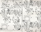 JO2726-1 Amberes White Journeys II Mural by Tres Tintas