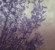 Mexic Purple Journeys II Mural by Tres Tintas