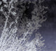 Mexic B/W Journeys II Mural by Tres Tintas