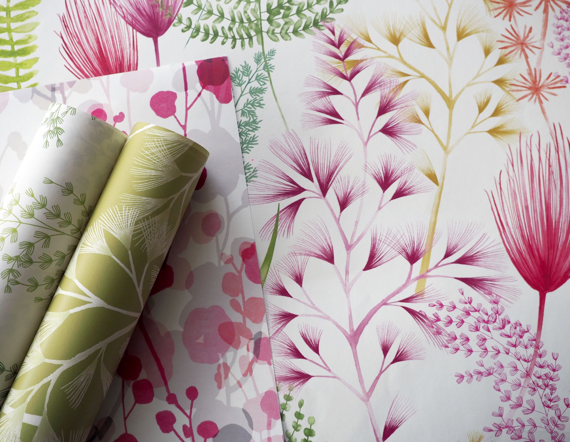 JRD50101W Summer Ferns Coral Pink Wallpaper by Ohpopsi