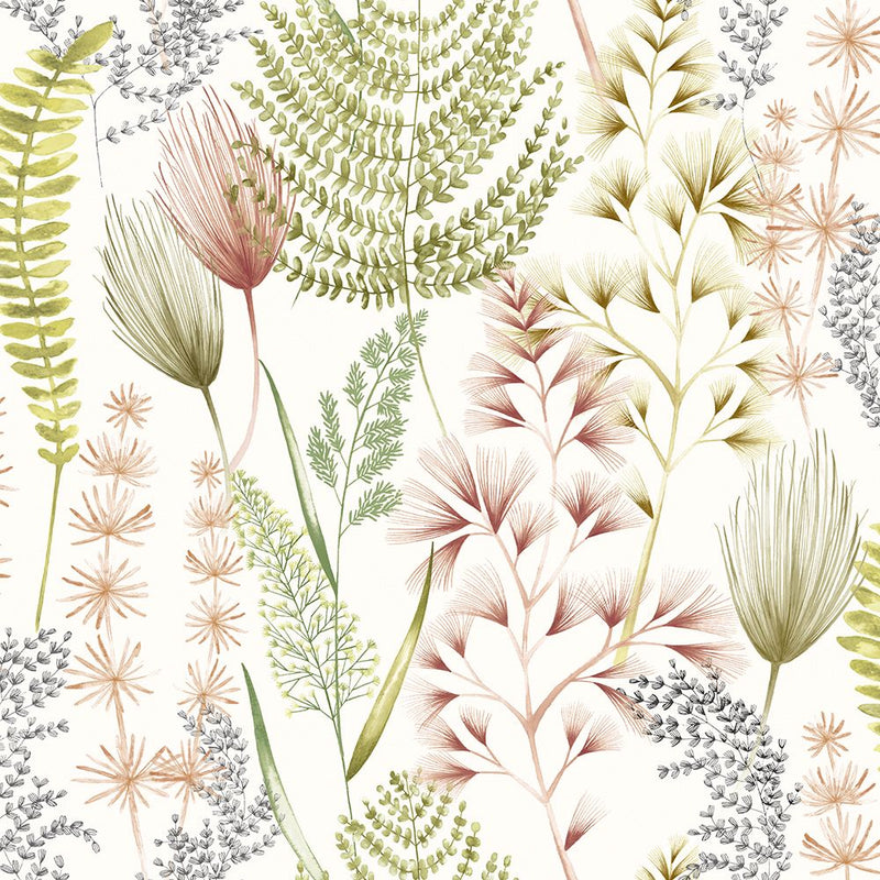 JRD50103W Summer Ferns Terracotta Wallpaper by Ohpopsi