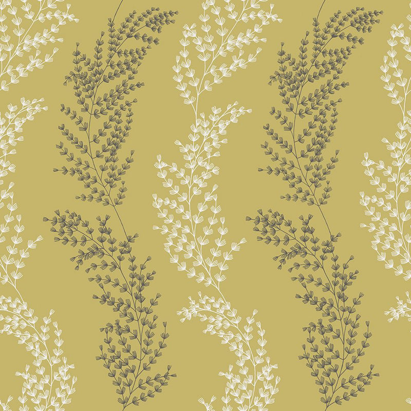 JRD50107W Mimosa Trail Mustard Wallpaper by Ohpopsi