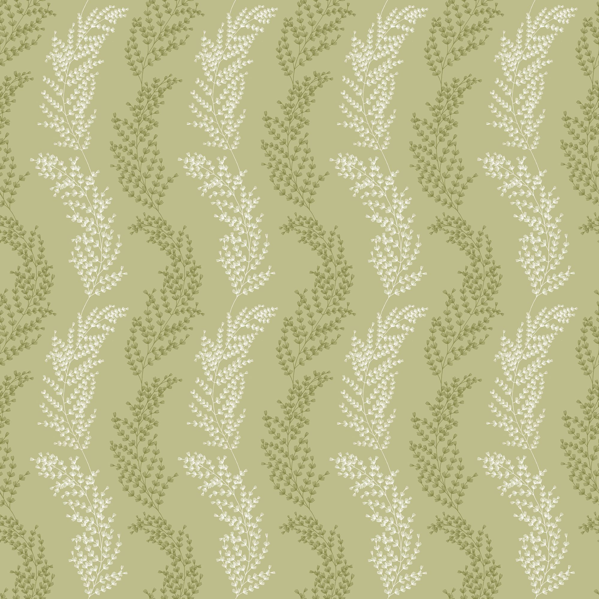 JRD50109W Mimosa Trail Sage Olive Wallpaper by Ohpopsi