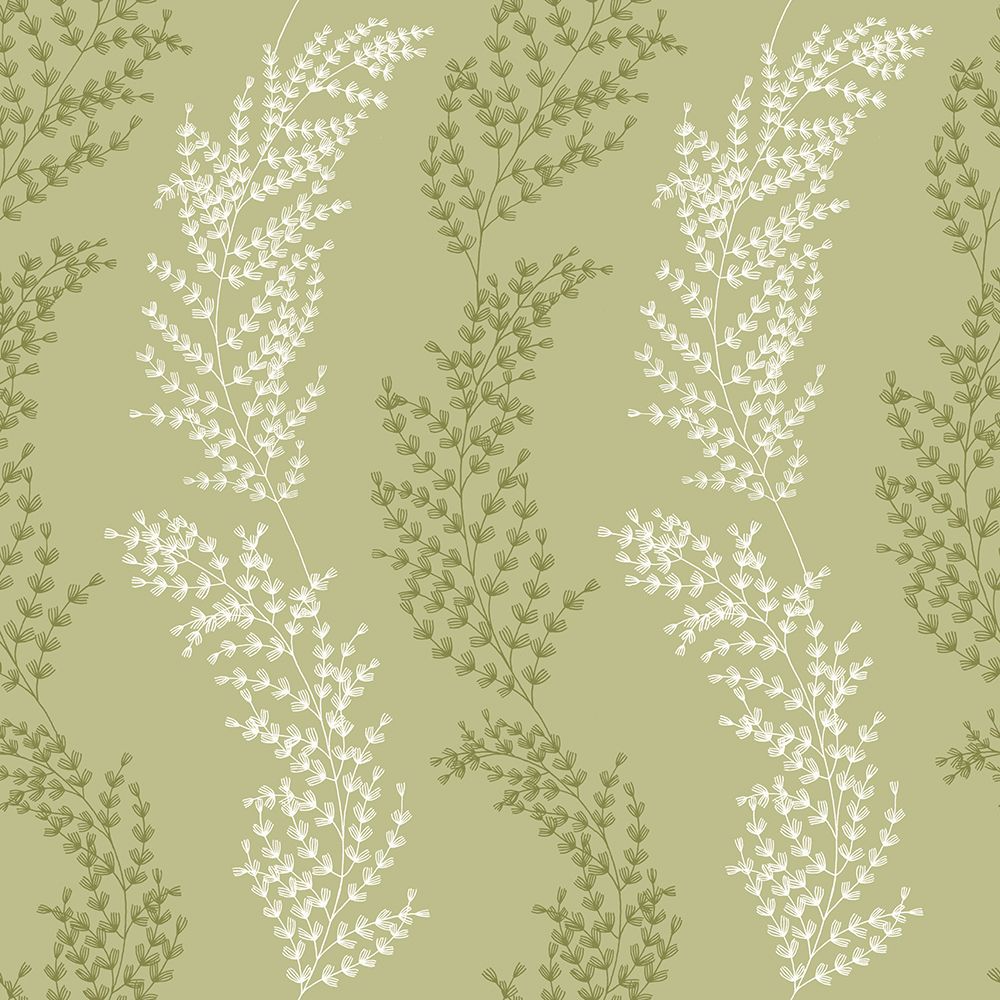 JRD50109W Mimosa Trail Sage Olive Wallpaper by Ohpopsi