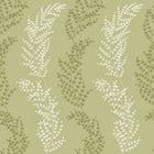 JRD50109W Mimosa Trail Sage Olive Wallpaper by Ohpopsi