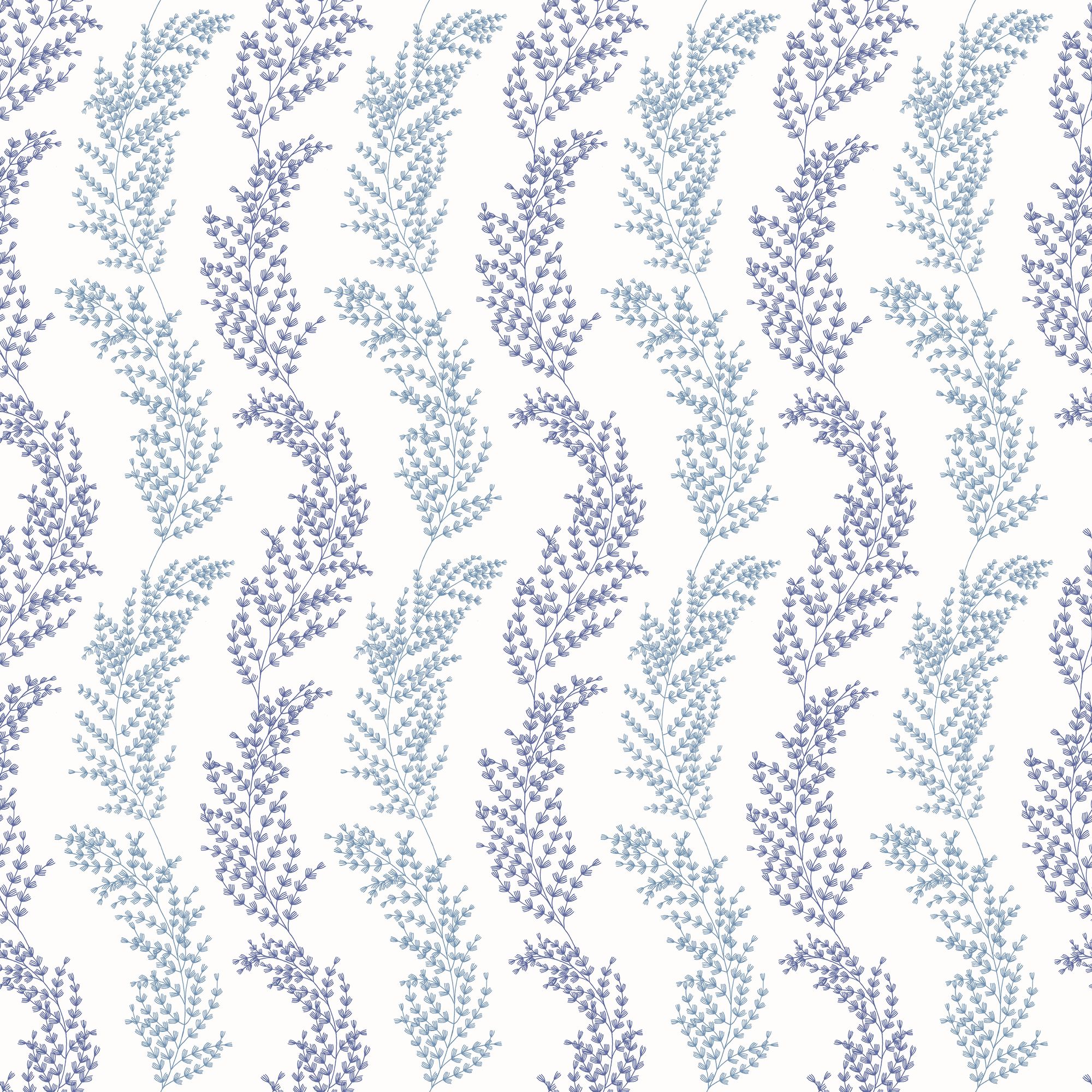 JRD50110W Mimosa Trail Blue Wallpaper by Ohpopsi
