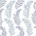JRD50110W Mimosa Trail Blue Wallpaper by Ohpopsi