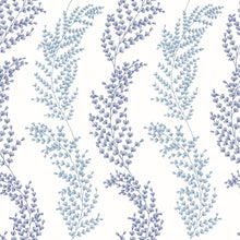 JRD50110W Mimosa Trail Blue Wallpaper by Ohpopsi