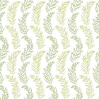 JRD50111W Mimosa Trail Olive Wallpaper by Ohpopsi