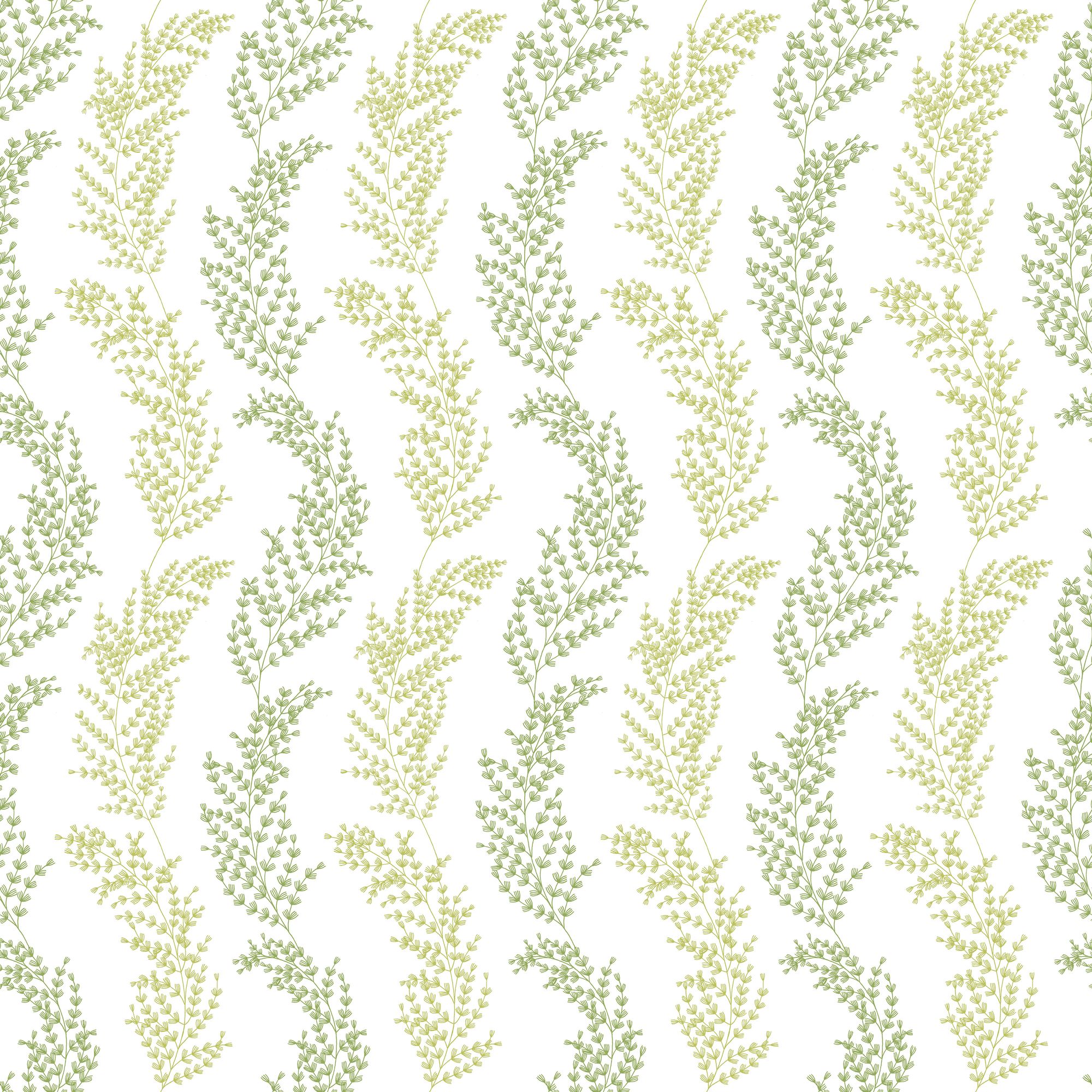 JRD50111W Mimosa Trail Olive Wallpaper by Ohpopsi