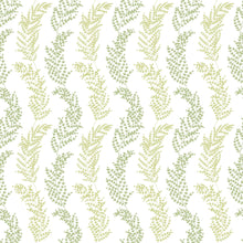 JRD50111W Mimosa Trail Olive Wallpaper by Ohpopsi