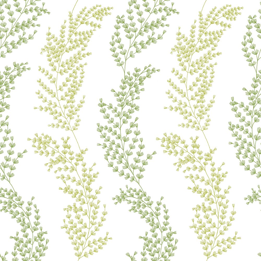 JRD50111W Mimosa Trail Olive Wallpaper by Ohpopsi