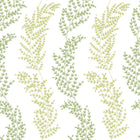 JRD50111W Mimosa Trail Olive Wallpaper by Ohpopsi