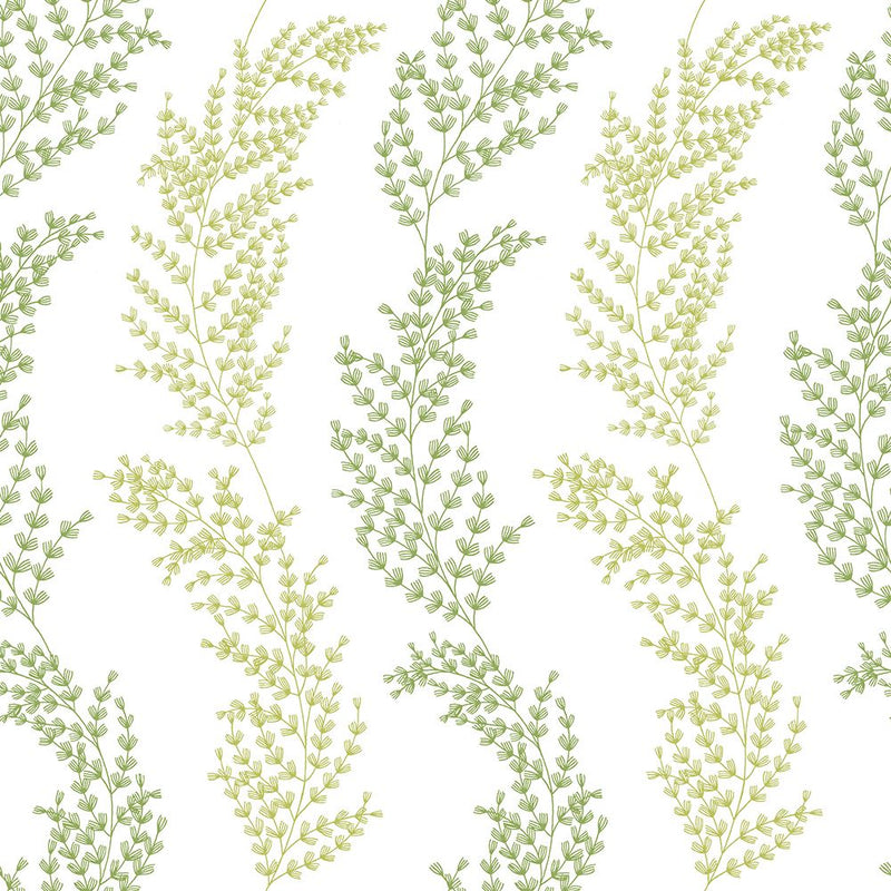 JRD50111W Mimosa Trail Olive Wallpaper by Ohpopsi