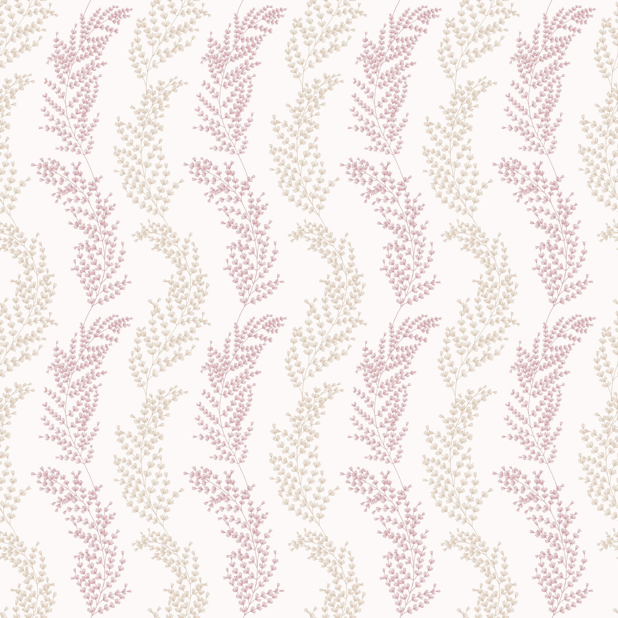 JRD50112W Mimosa Trail Blush Wallpaper by Ohpopsi