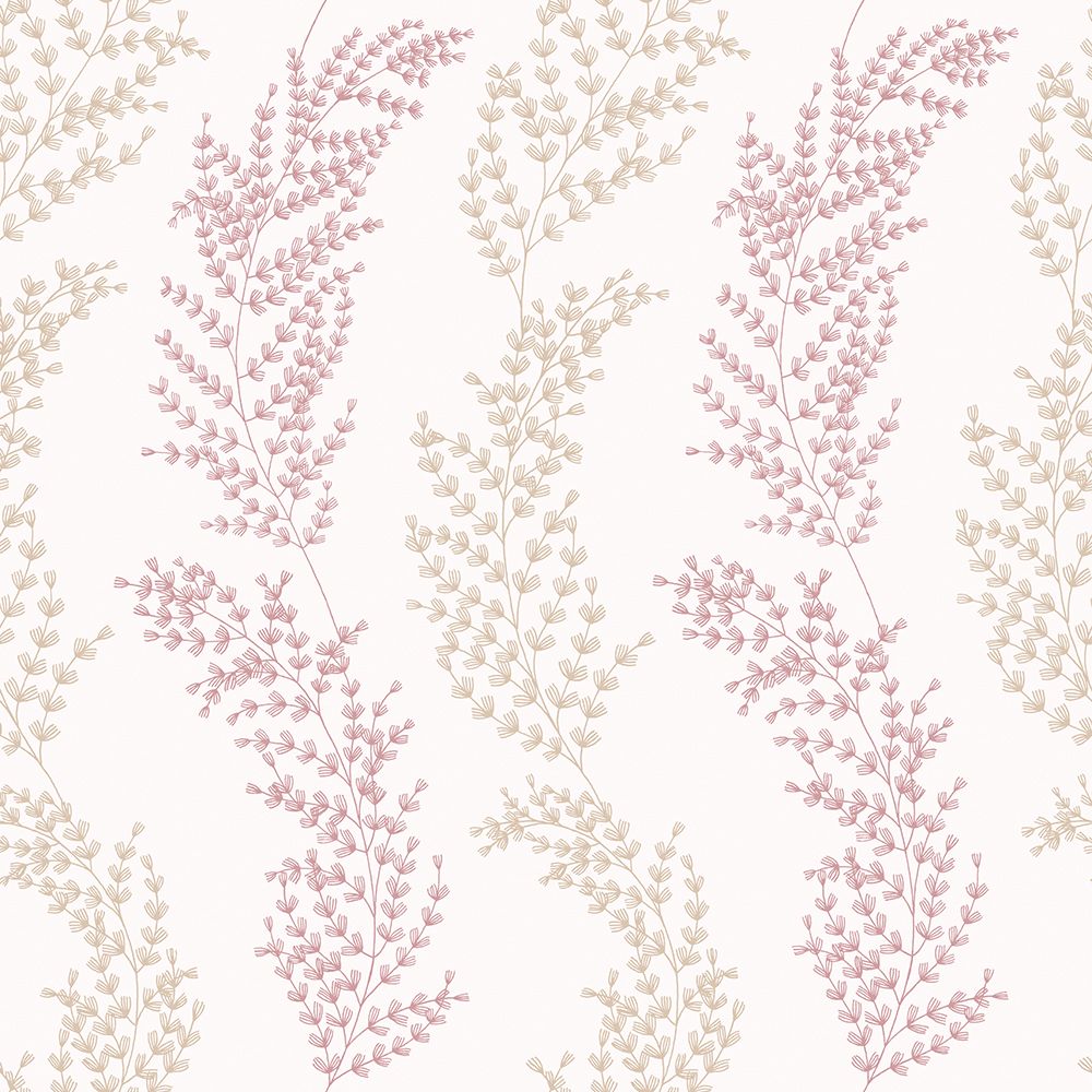 JRD50112W Mimosa Trail Blush Wallpaper by Ohpopsi