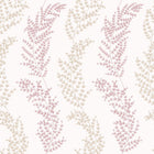 JRD50112W Mimosa Trail Blush Wallpaper by Ohpopsi