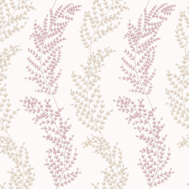 JRD50112W Mimosa Trail Blush Wallpaper by Ohpopsi