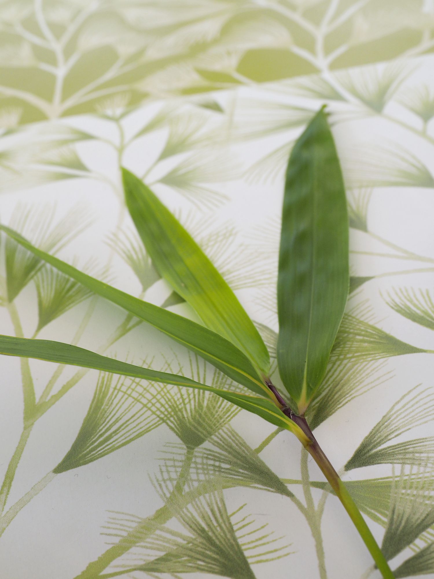 JRD50120W Arabella Green Cream Wallpaper by Ohpopsi